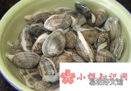 如何让蛤蜊快速吐沙