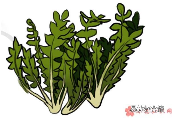 吃野菜的正确姿势 吃野菜可以抗癌吗