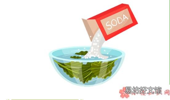 吃野菜的正确姿势 吃野菜可以抗癌吗