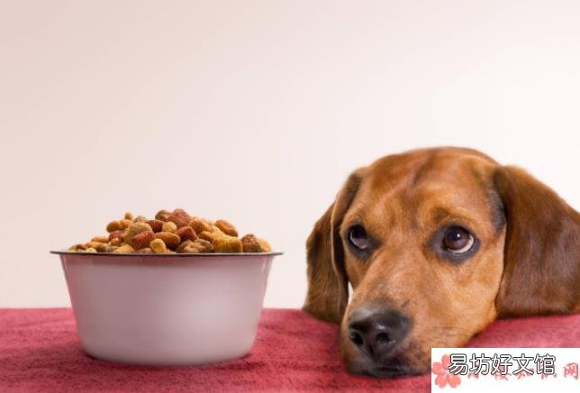 如何挑选健康安全的宠物食品 建立宠物食品安全标准有必要吗