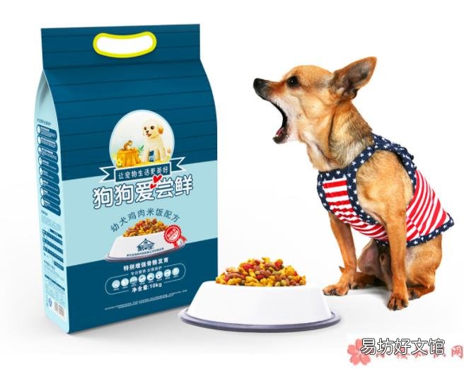 如何挑选健康安全的宠物食品 建立宠物食品安全标准有必要吗