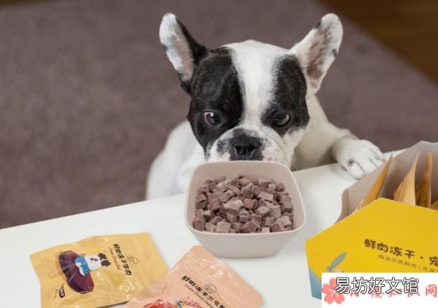 如何挑选健康安全的宠物食品 建立宠物食品安全标准有必要吗