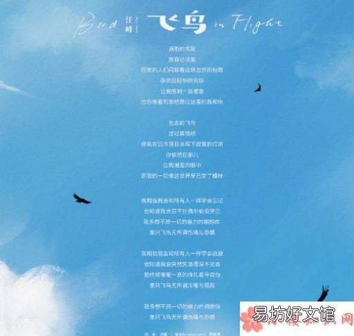 《飞鸟》歌曲信息介绍 汪峰新歌《飞鸟》完整版歌词内容