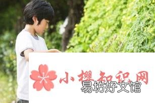 白鳞铁树养殖技巧