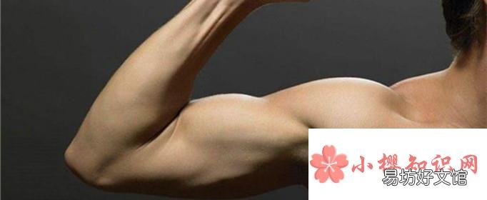 胳膊和大腿为什么不容易起包?