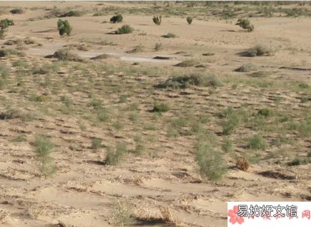 烧荒真的可以增加土地肥力吗 古代烧荒是怎么回事