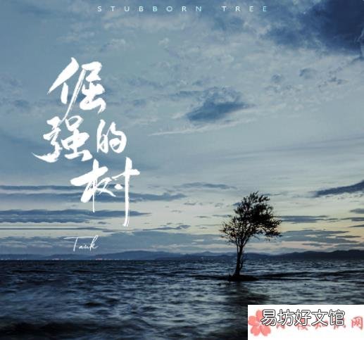 倔强的树歌词信息介绍 tank新歌《倔强的树》歌词是什么