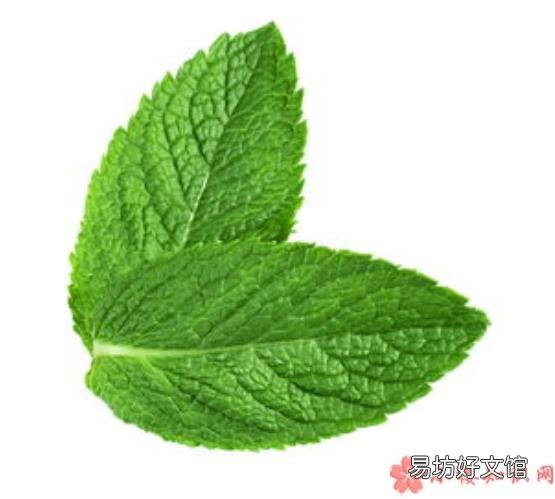 薄荷烟有什么危害 抽薄荷烟会更容易上瘾和致癌