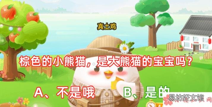 蚂蚁庄园4月29日答案 棕色的小熊猫是大熊猫的宝宝吗