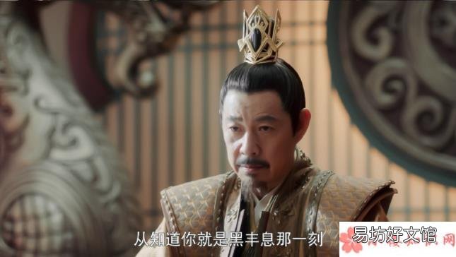 丰兰息看清雍王了吗 《且试天下》丰兰息武功为什么被废