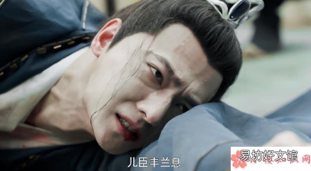 丰兰息看清雍王了吗 《且试天下》丰兰息武功为什么被废