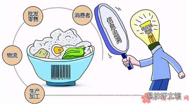 食品安全常识 食品安全到底有多重要