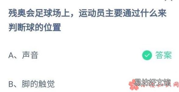 5月13日答案 蚂蚁庄园残奥会足球场上运动员通过什么来判断球的位置