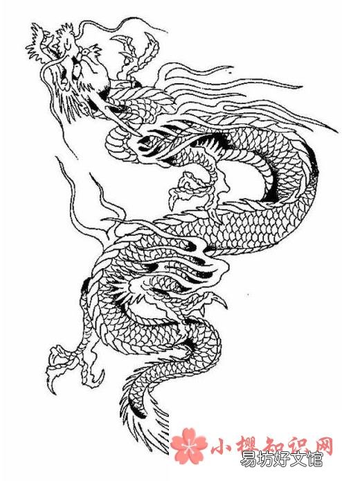 世界上真的有龍嗎