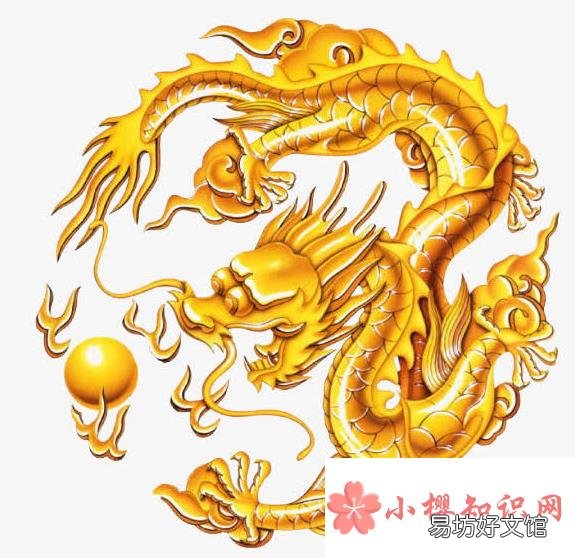 世界上真的有龍嗎