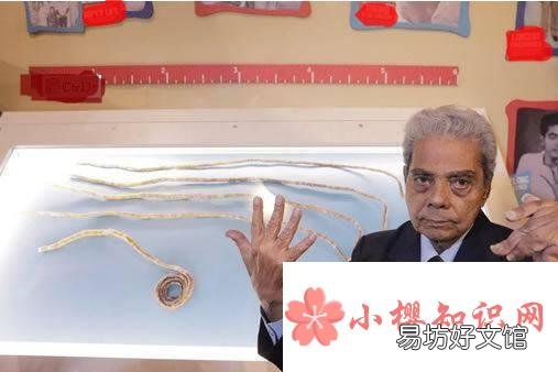 世界上最长的指甲