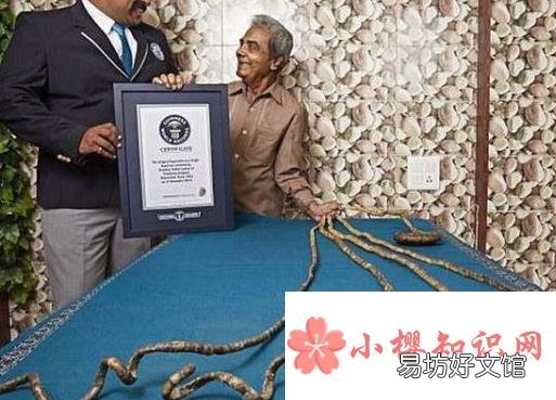 世界上最长的指甲