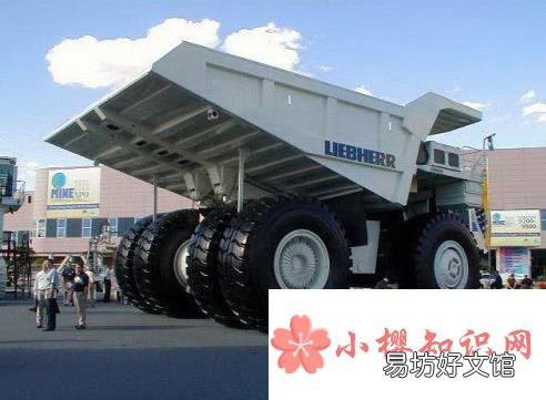 世界上最大的车