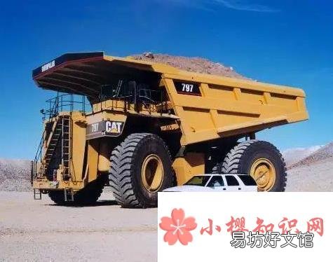 世界上最大的车