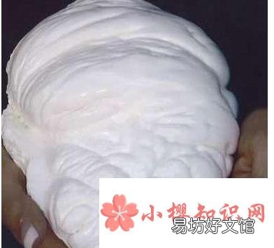世界上最大的珍珠