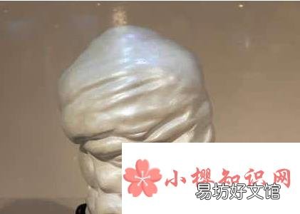 世界上最大的珍珠