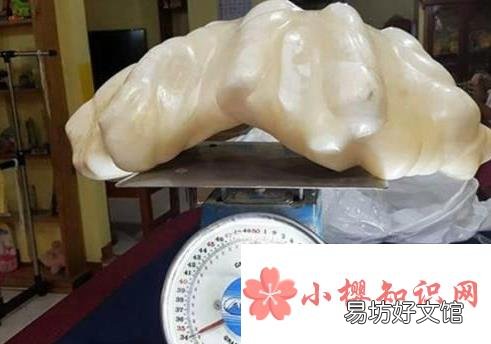世界上最大的珍珠
