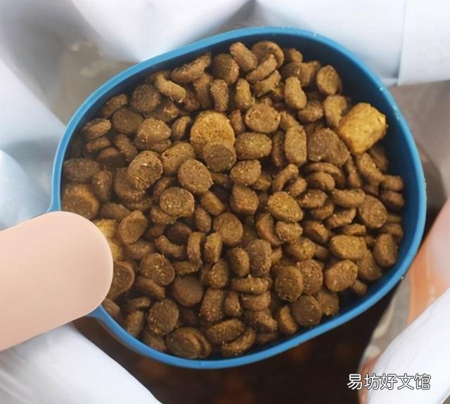 猫一天要吃多少猫粮(成年猫一天要吃多少猫粮)