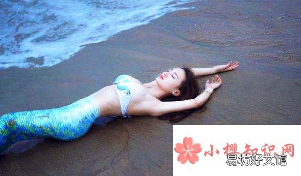 世界上真的有美人鱼吗
