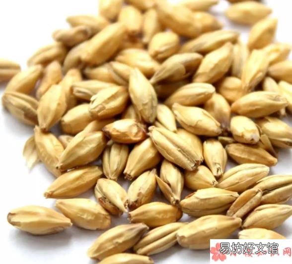 新三星汤的做法是什么 孩子上火时可以喝新三星汤吗