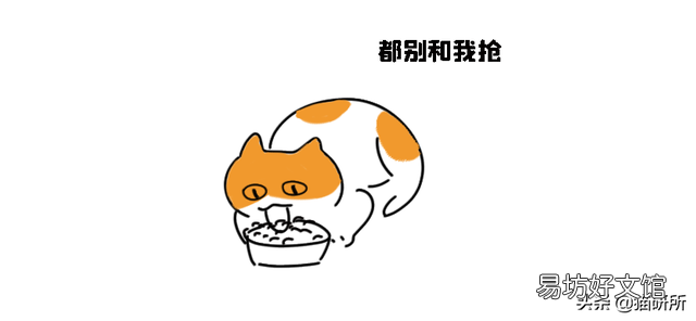 猫放屁正常吗(猫放屁是怎么回事)