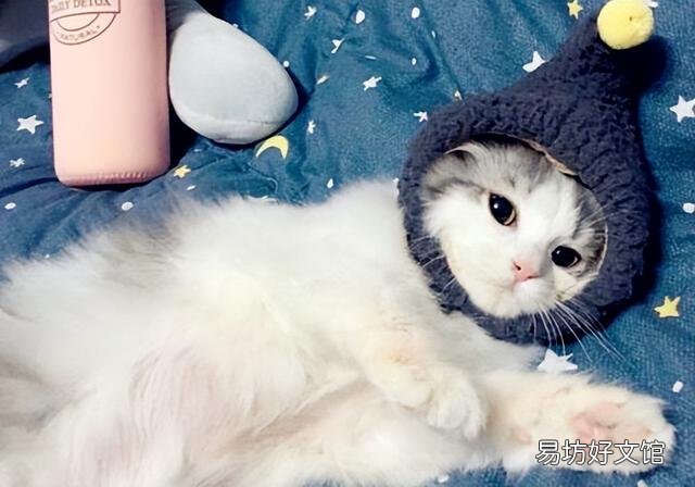 猫咪眼睛发炎会自愈吗(猫咪眼睛发炎可以自愈吗)