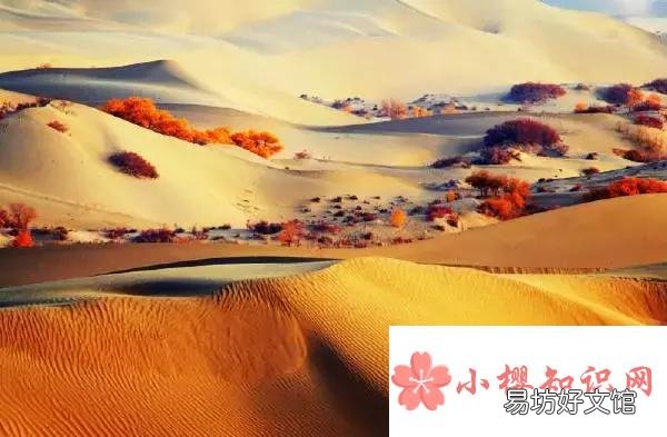 死亡之海是哪个沙漠?