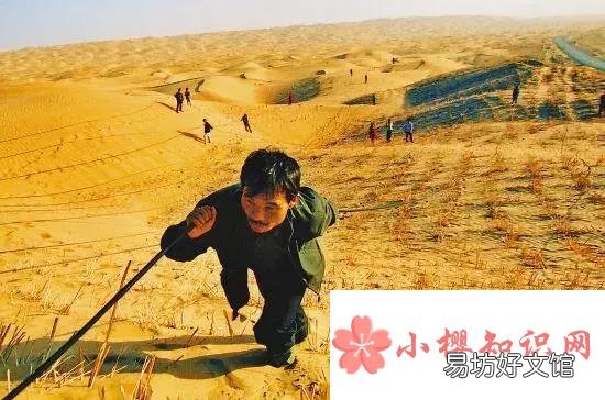 死亡之海是哪个沙漠?