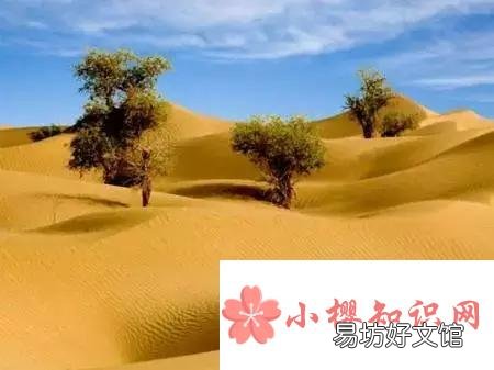 死亡之海是哪个沙漠?