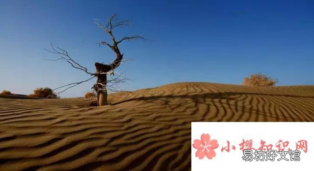 死亡之海是哪个沙漠?