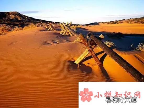 死亡之海是哪个沙漠?