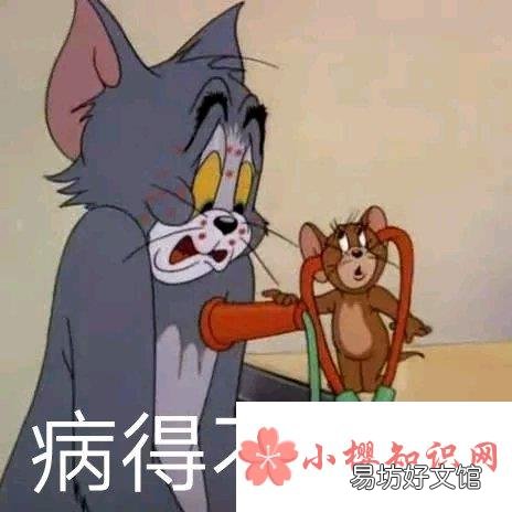 nt是什么梗?