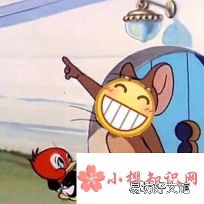 nt是什么梗?