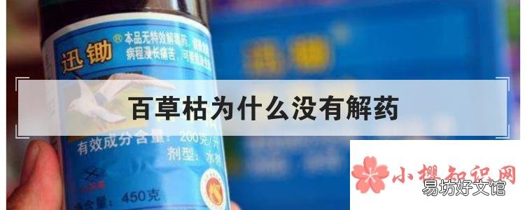 百草枯为什么没有解药