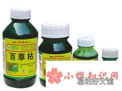 百草枯为什么没有解药