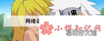 网络语开车是什么意思