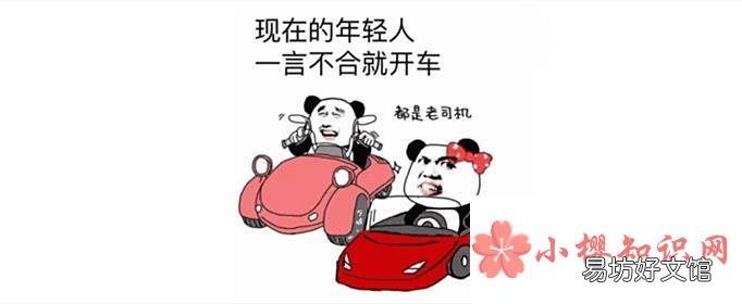 网络语开车是什么意思