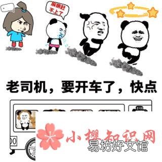 网络语开车是什么意思