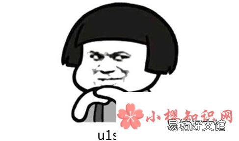 u1s1是什么意思?