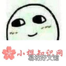 u1s1是什么意思?