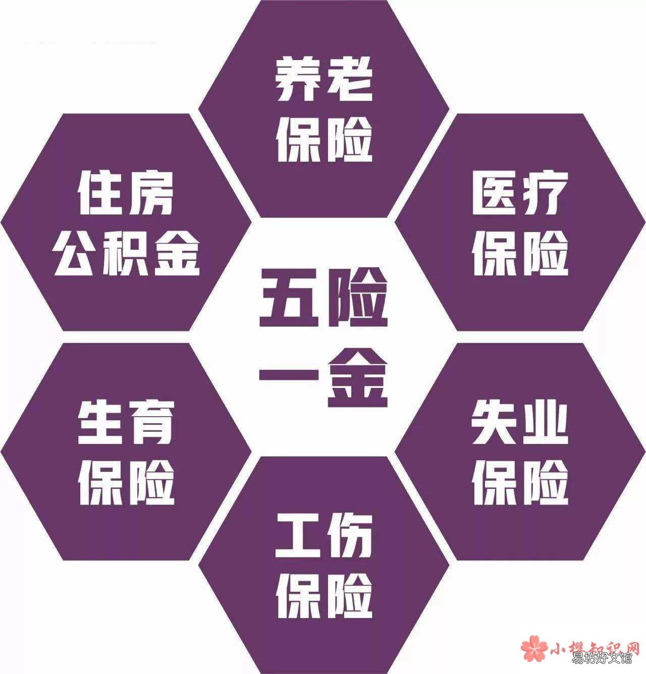 五险是哪五种保险?