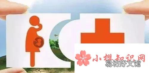 生育保险怎么报销?