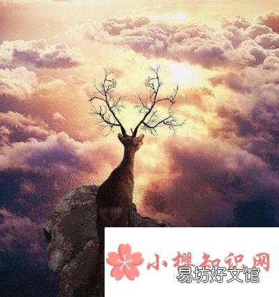 祝福公司未来发展的话有哪些?