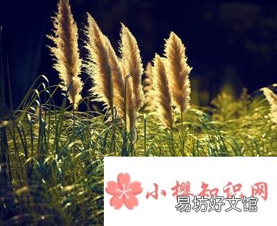 祝福公司未来发展的话有哪些?
