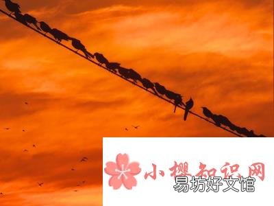 有哪些发朋友圈回家的话语?